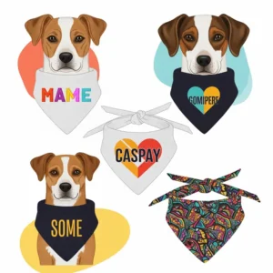 An illustration demonstrating options for customizing cool dog bandanas with names, logos, or unique patterns.