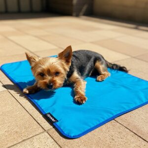  Small terrier comfortably lying on a cooling towel designed for dogs on a warm surface.