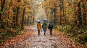 People walking through fallen leaves on an autumn pathway while wearing a cozy family rain gear set.